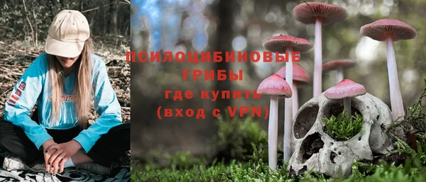 apvp Армянск