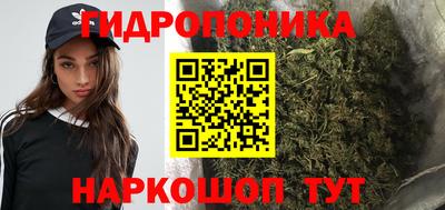 сатива Уссурийск